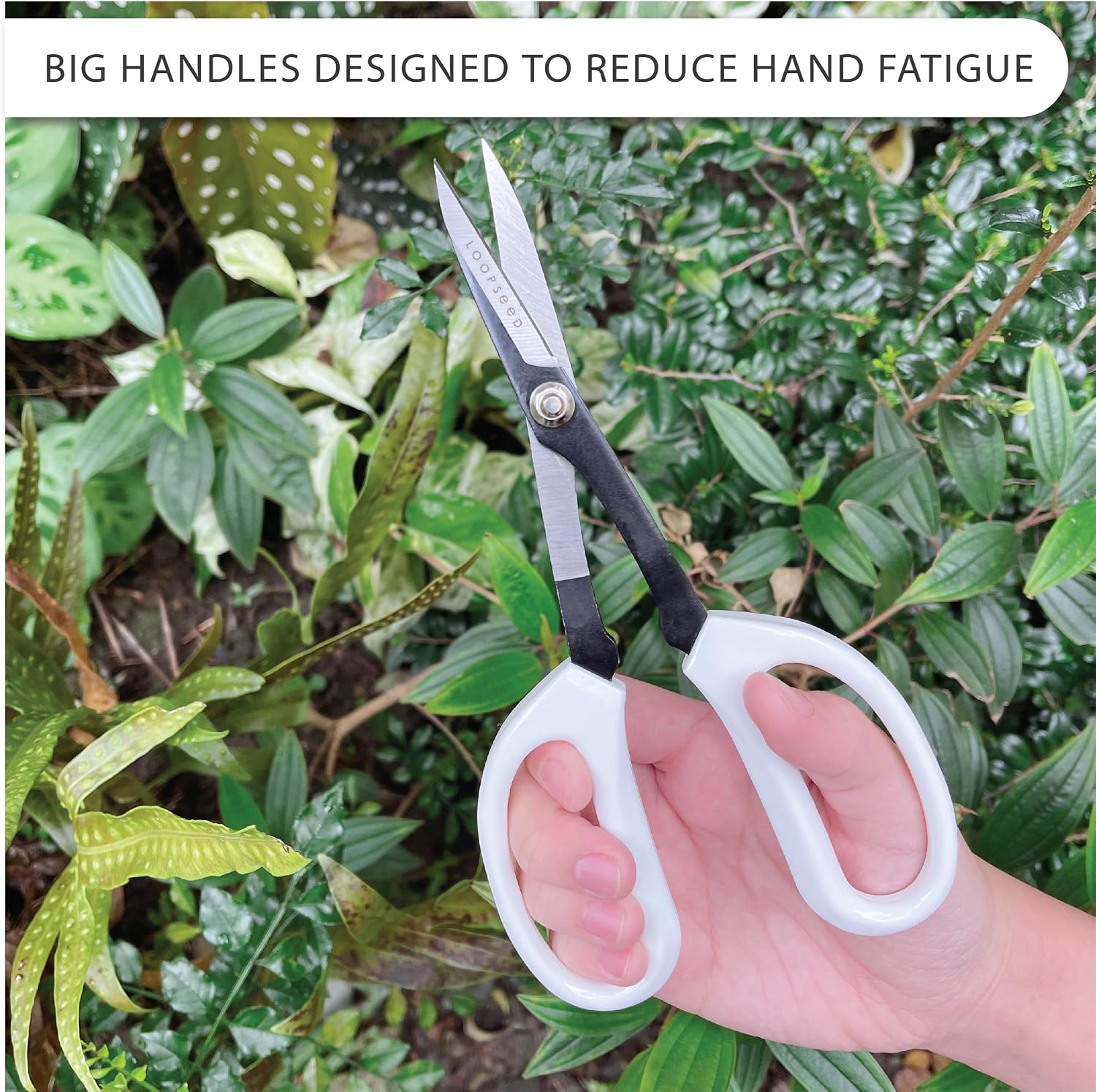 Precision Gardening Scissors Plant Trimming Pruning Shears Garden Pruners for Orchid Bonsai Hydroponic Flower Clipper