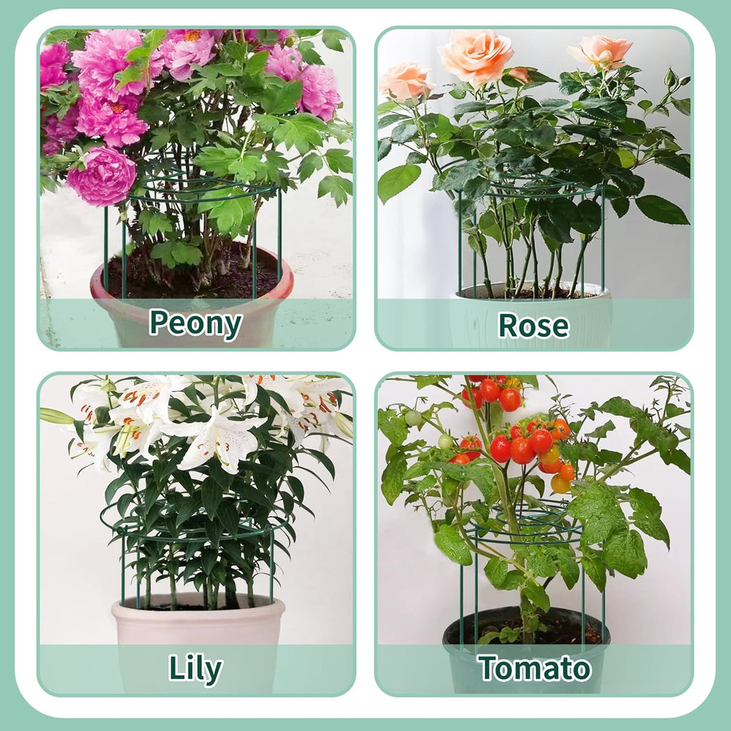 8 Sets Peony Support Cage,Heavy Duty Metal Plant Support Rings with 3.5mm Thickened Legs,10"Dia.x16"High Grow Through