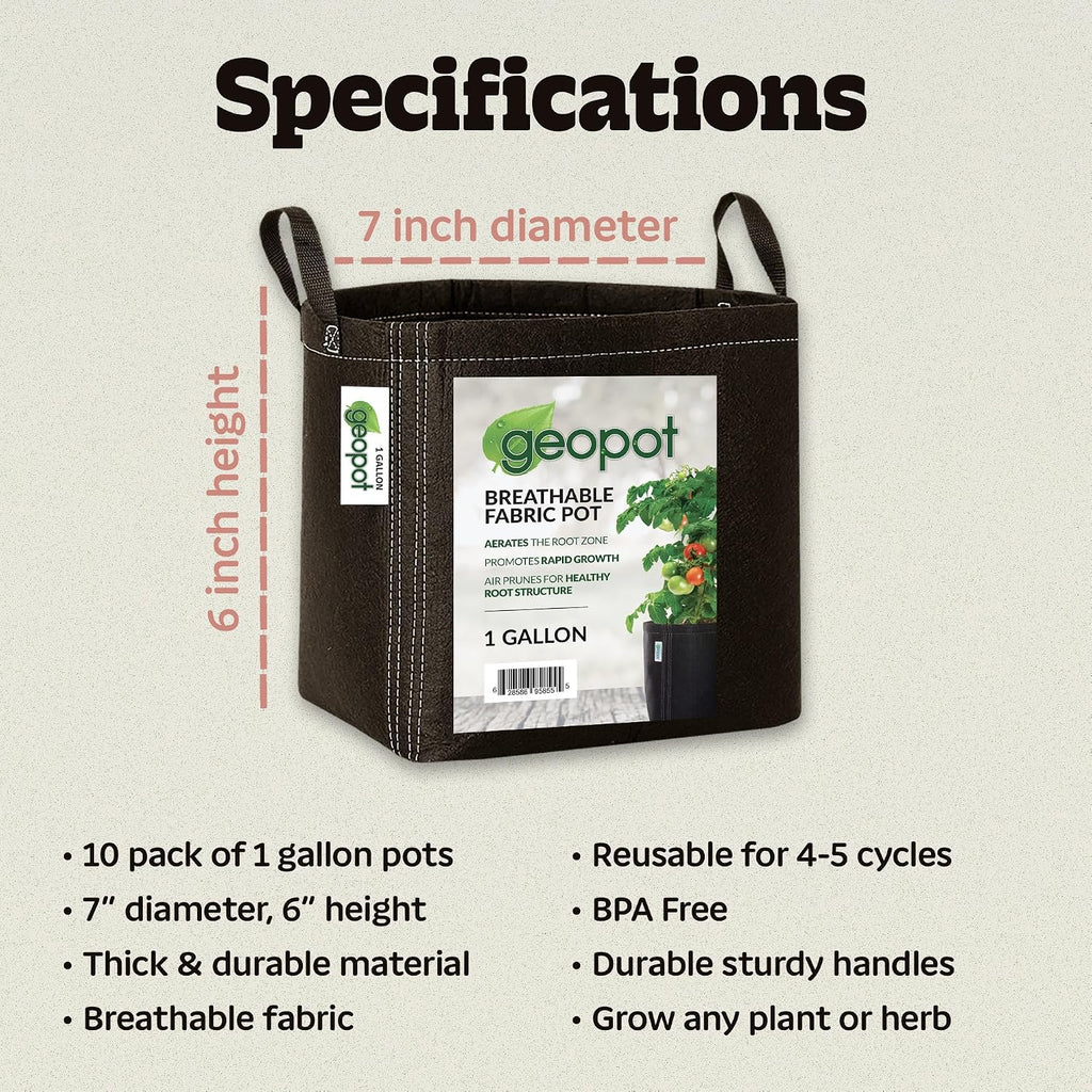 1 Gallon Fabric Grow Bags with Handles for Vegetables, Houseplants, Herbs & Flowers | 10-Pack | Fabric Pots for