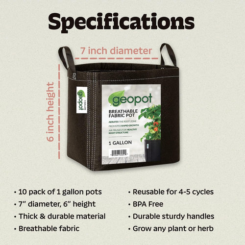 1 Gallon Fabric Grow Bags with Handles for Vegetables, Houseplants, Herbs & Flowers | 10-Pack | Fabric Pots for