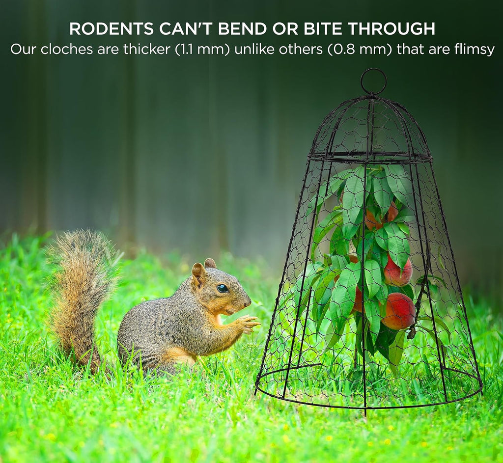 Garden Cloches for Plant Protector from Animals Chicken Wire Cages Outdoor | 12" x 20" Pack of 6 Extra Large Plant