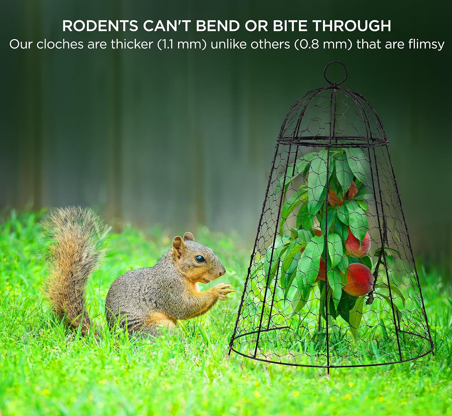 Garden Cloches for Plant Protector from Animals Chicken Wire Cages Outdoor | 12" x 20" Pack of 6 Extra Large Plant