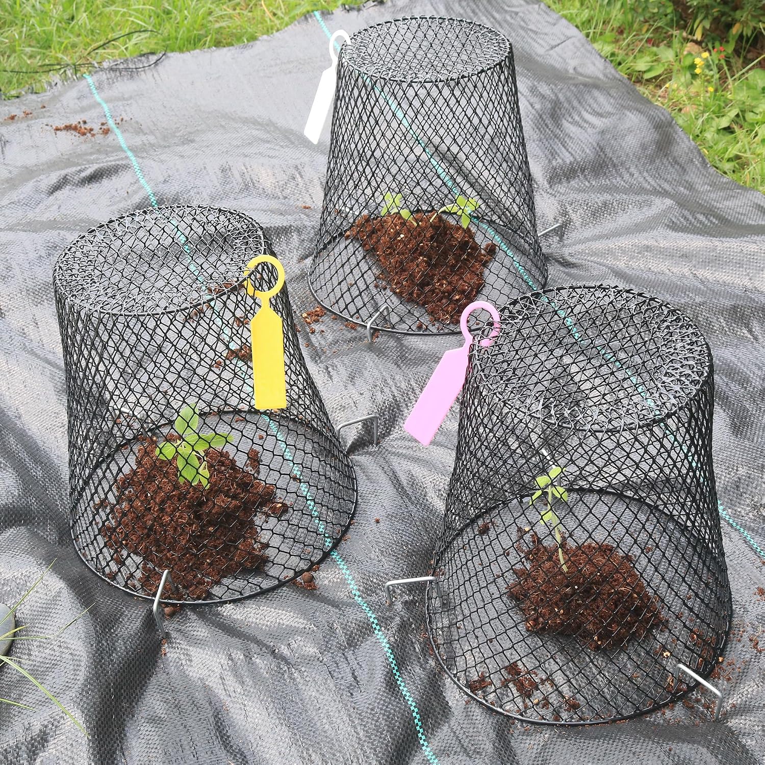 20 Pack 9.2x9.2 Inch Chicken Wire Cloche Plant Protectors from Animals | Plant Cages for Outdoor Plants Keep Rabbits