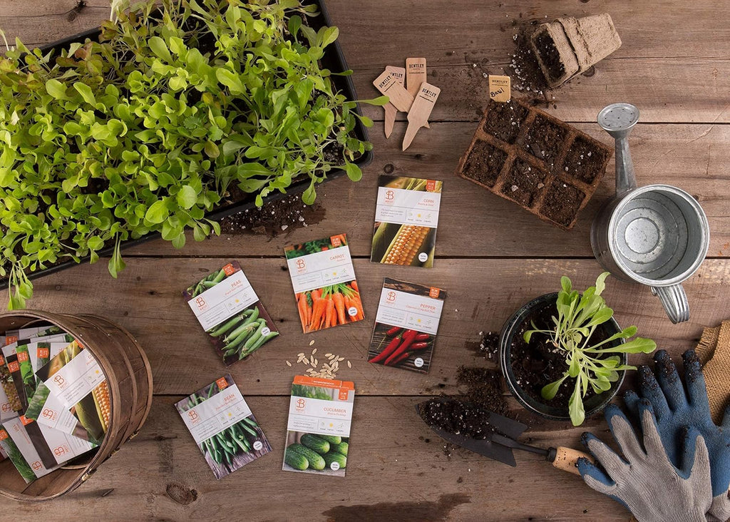 Bentley 20 Pack Garden Seeds for Planting - Non GMO Vegetable Variety Pack for Indoor and Outdoor Growing