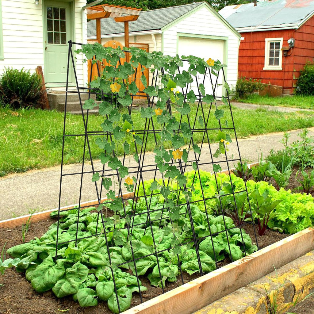 Cucumber Trellis 2 Pack,Foldable A-Frame Garden Trellis | for Raised Bed Garden Grow Support with Plant Support Clips