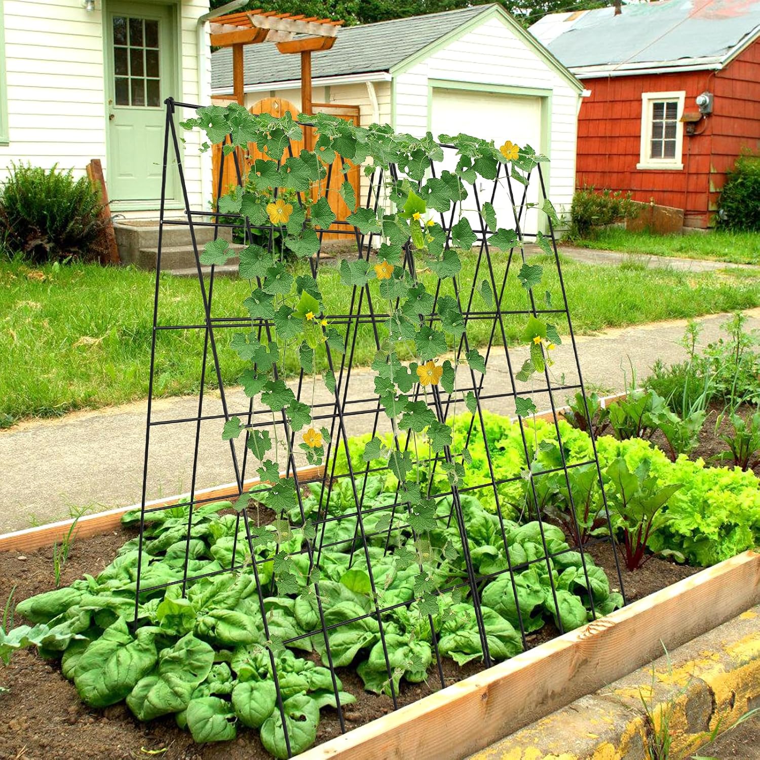 Cucumber Trellis 2 Pack,Foldable A-Frame Garden Trellis | for Raised Bed Garden Grow Support with Plant Support Clips