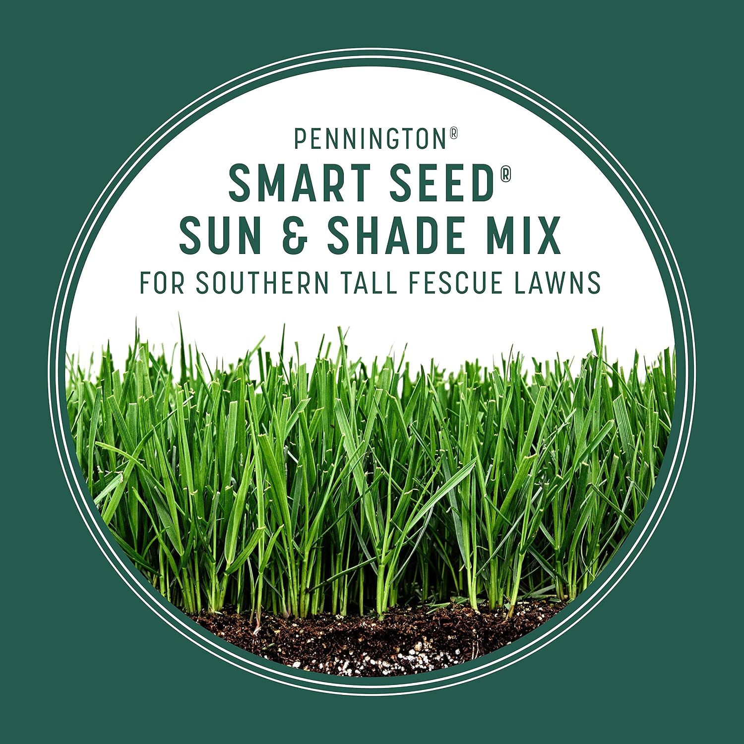 Pennington Smart Seed Sun & Shade Mix South, Tall Fescue Grass Seeds for Lawn, 4/7 lb