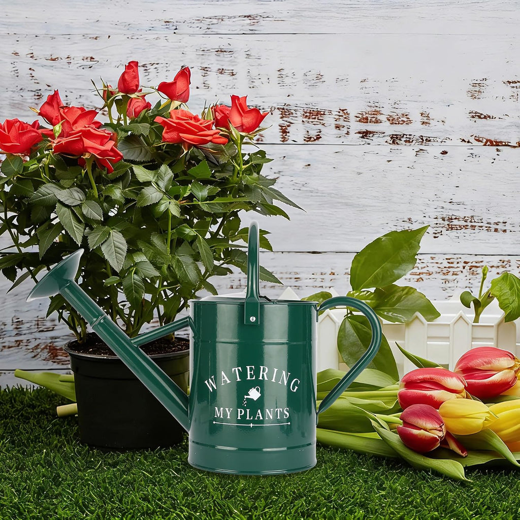 Garutom Galvanized Watering Can for Outdoor Indoor Plants, 1 Gallon Decorative Countryside Water Can with Removable