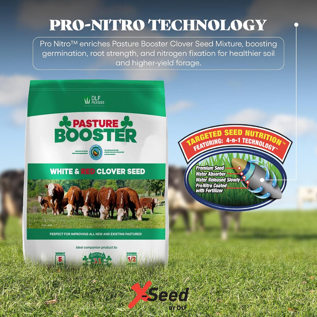 DLF Pasture Booster Clover Seed Mixture - Premium Clover Seed for Pastures, Livestock, Horses, Providing Protein &