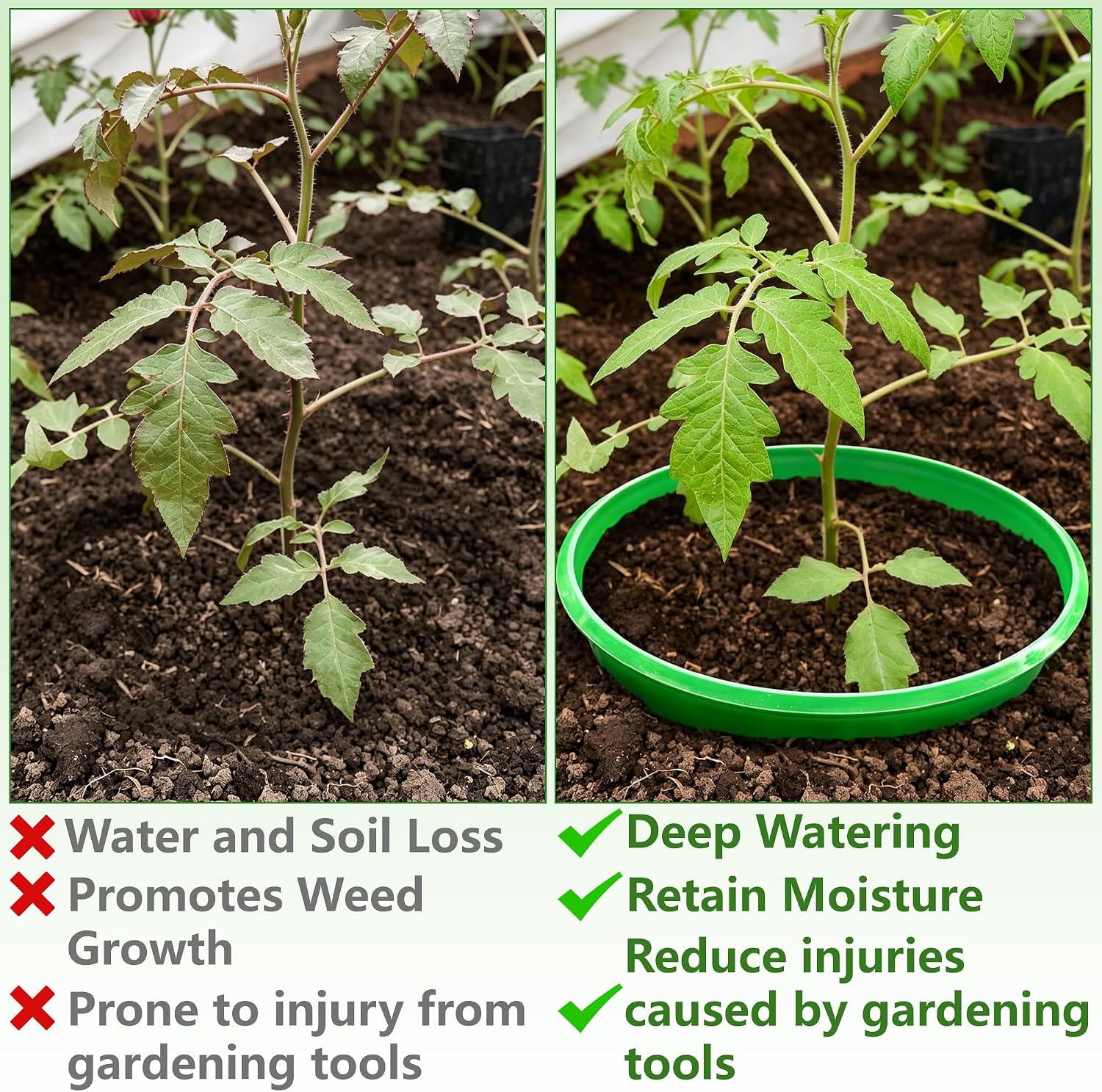 EBaokuup 6 Pcs 10 Inch Planting Grow Rings-Planting Protective Round Edging to Separate Rock and Pest-Planting Rings
