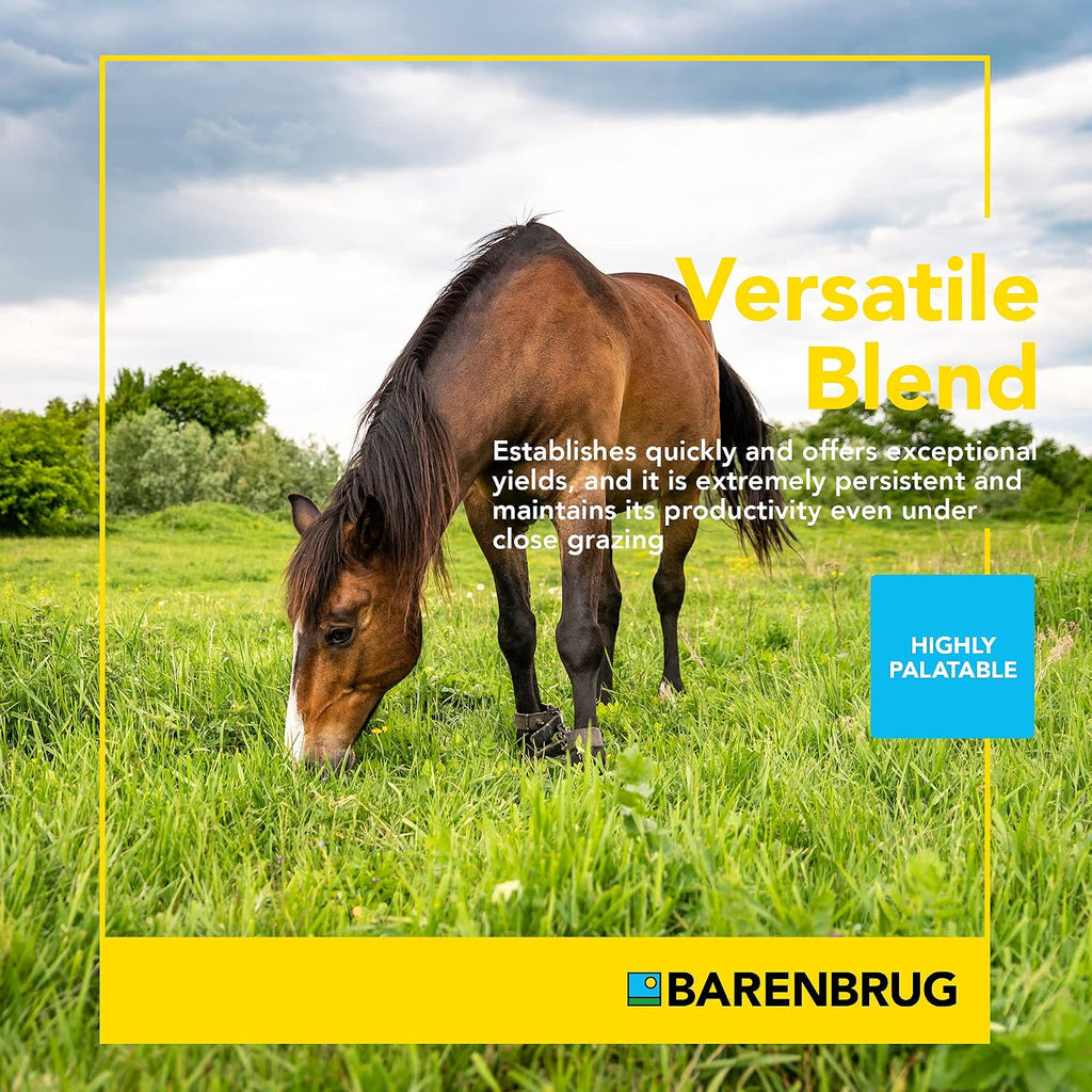 Barenbrug Horsemaster Premium Pasture Grass Seed Mix (25 LB Bag)