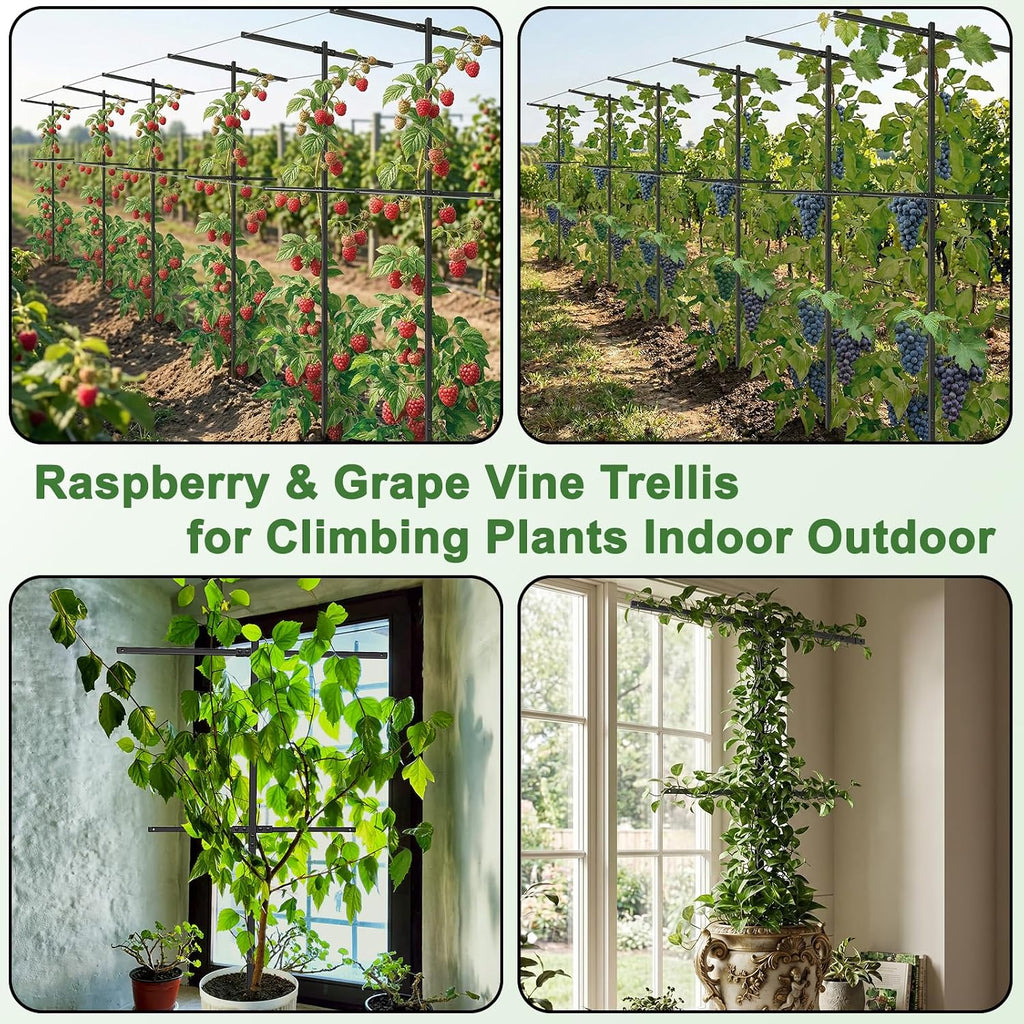 2 Pack Metal Detachable Raspberry & Grape Vine Trellis for Climbing Plants, Heavy-Duty 7 Ft Tall Large Vineyard Trellis