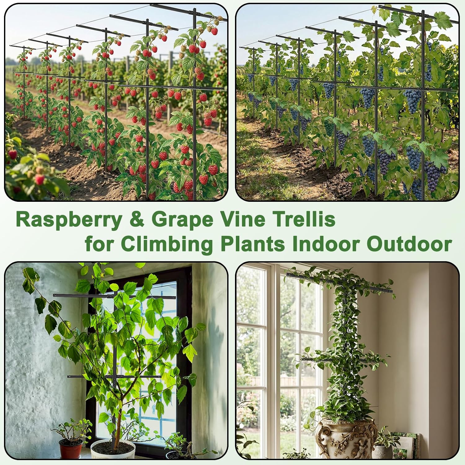2 Pack Metal Detachable Raspberry & Grape Vine Trellis for Climbing Plants, Heavy-Duty 7 Ft Tall Large Vineyard Trellis