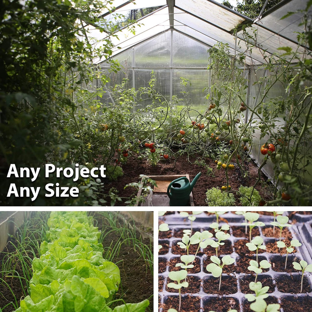 Mountain Valley Seed Co Mammoth Melting Sugar Pod Snow Pea Garden Seed 5 Lb | ~9,000 Seeds - Non-GMO, Heirloom