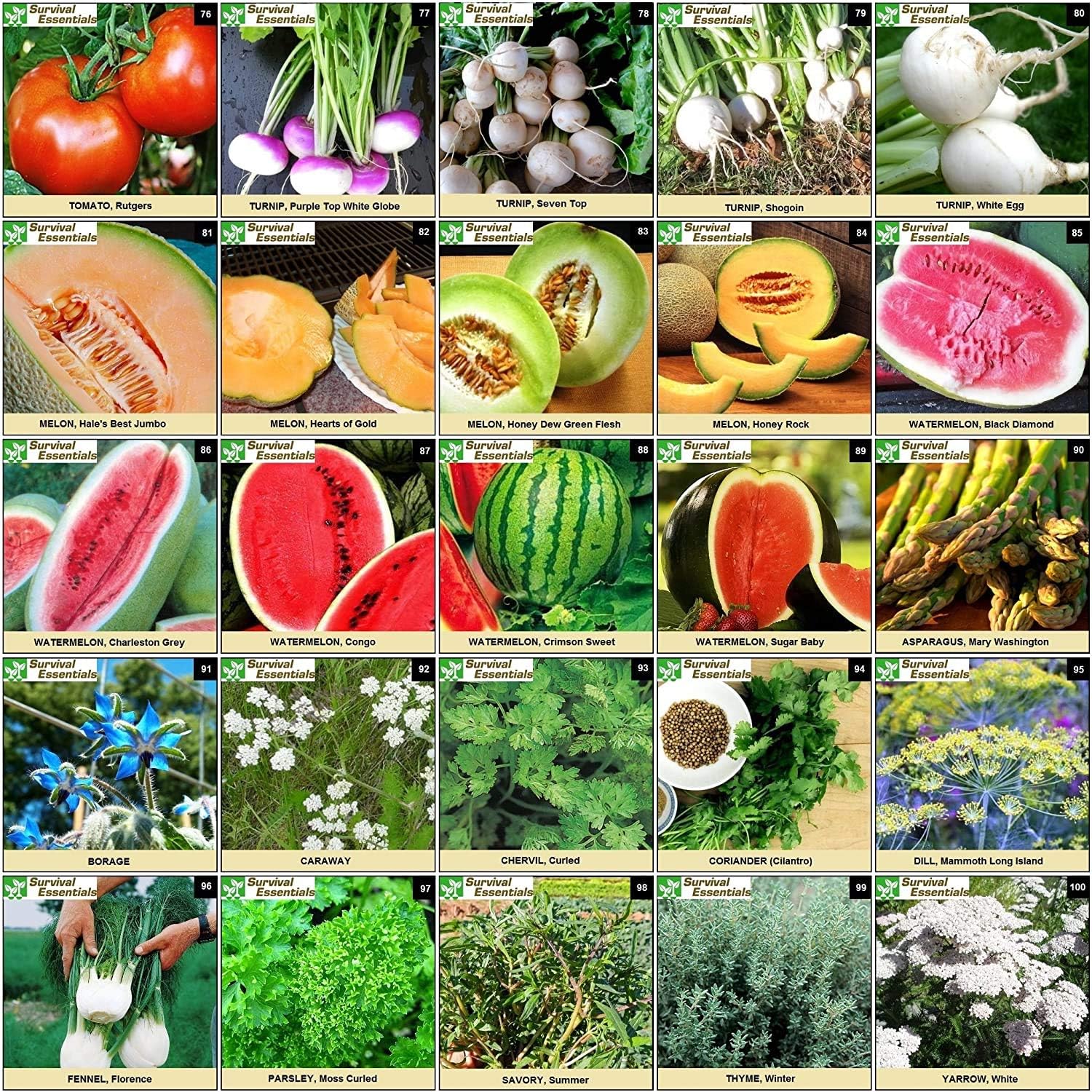Garden Heirloom Seed Vault, 100 Variety, Over 17,500 Vegetable, Fruit, and Herbs Seeds, Non-GMO, Non-Hybrid, Plus Free
