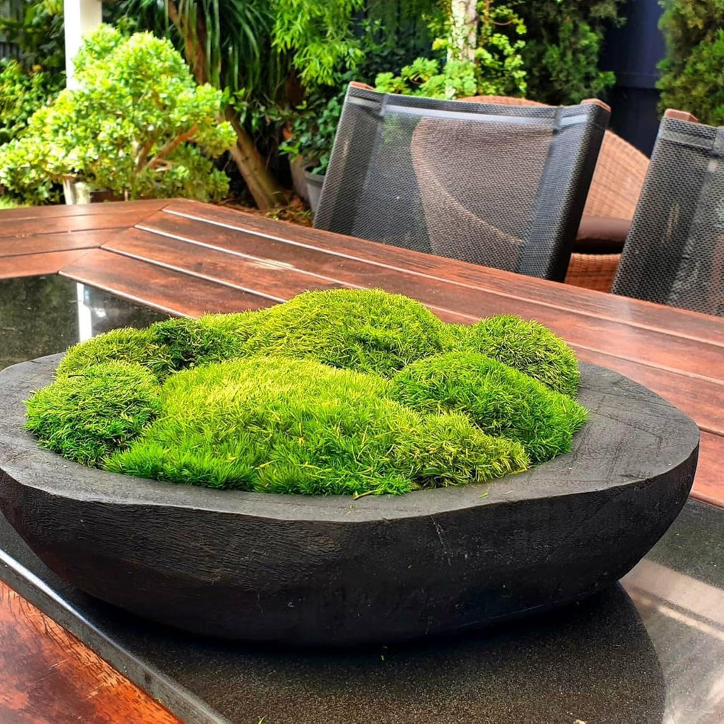 Preserved Pole Moss Pillow Bun Cushion Natural Green Decorative Real Natural Green DIY Kit Terrariums Gardenning Art