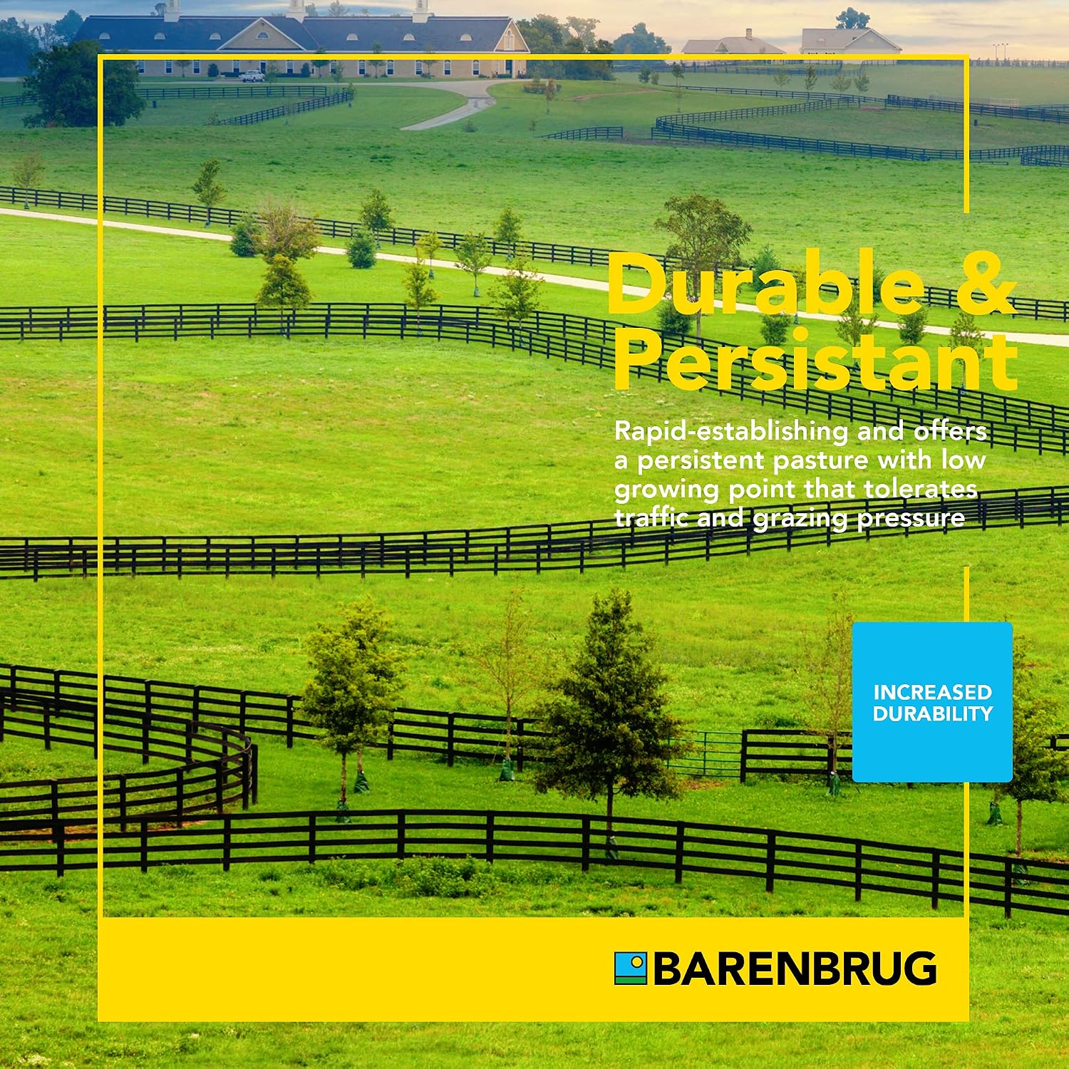 Barenbrug Horsemaster Premium Pasture Grass Seed Mix (25 LB Bag)