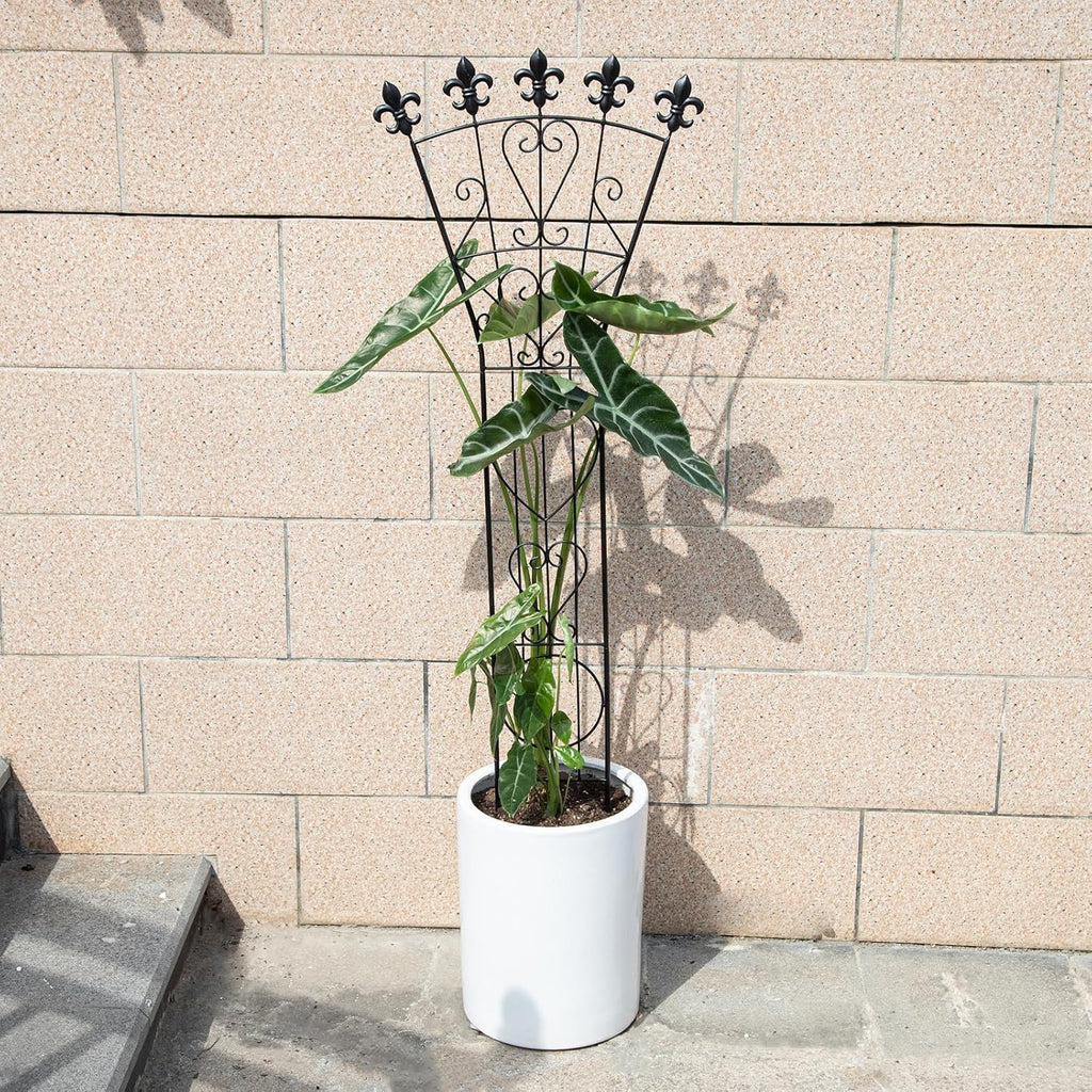 46in Heavy Duty Indoor Climbing Plant Trellis for Monstera, Pothos | Indoor Plant Trellis for Potted Plants - Garden