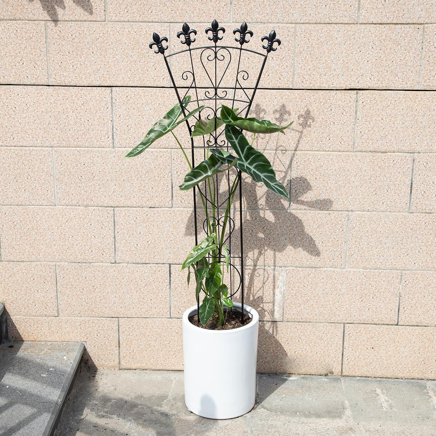 46in Heavy Duty Indoor Climbing Plant Trellis for Monstera, Pothos | Indoor Plant Trellis for Potted Plants - Garden