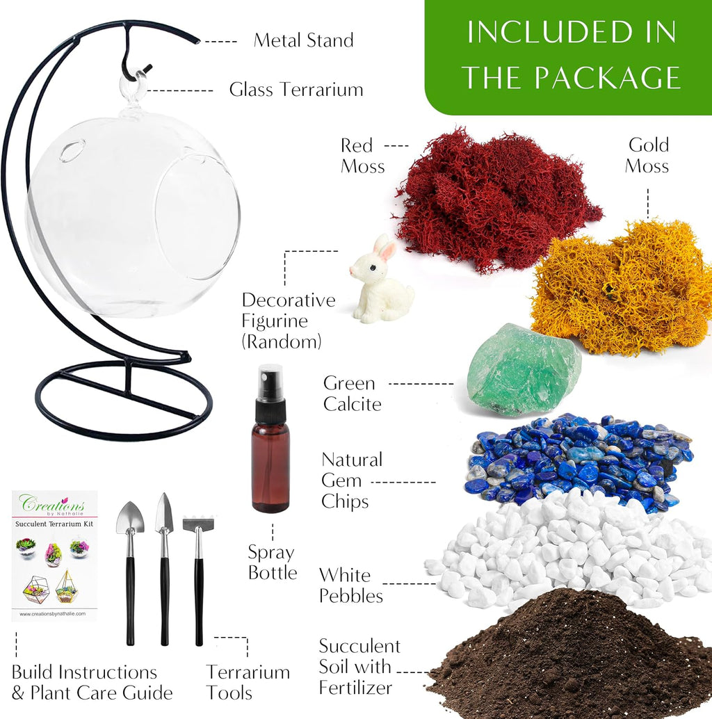Creations by Nathalie DIY 5" DIY Globe Terrarium Kit - Build Your Own Glass Terrarium for Adults & Teens with Moss