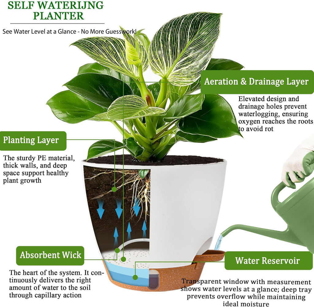 Self Watering Pots for Inoor Ourdoor Plants 8/7/6.5/6/5" Plastic Planters | Drainage Holes & Water Level Indicator