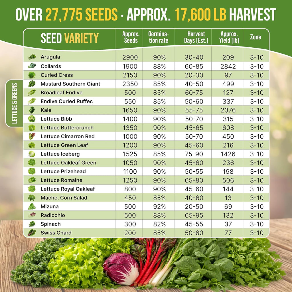 22 Lettuce & Salad Greens Seeds Variety Pack 24,700+ Non-GMO Heirloom Lettuce Seeds for Indoor & Outdoor Garden