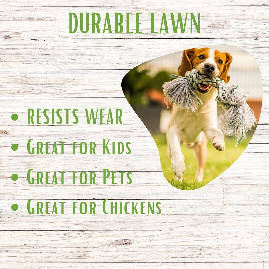 Ruff and Tuff Mow Less Fescue Grass Seed, 1 Lb, Low Maintenance, Family Friendly, Drought Tolerant, Covers up to 500 sq