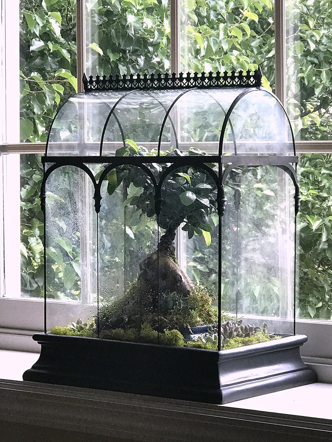 H Potter Large Glass Terrarium 22 Inch Tall, Curved Glass Wardian Case Planter with Resin Base, Indoor Display for