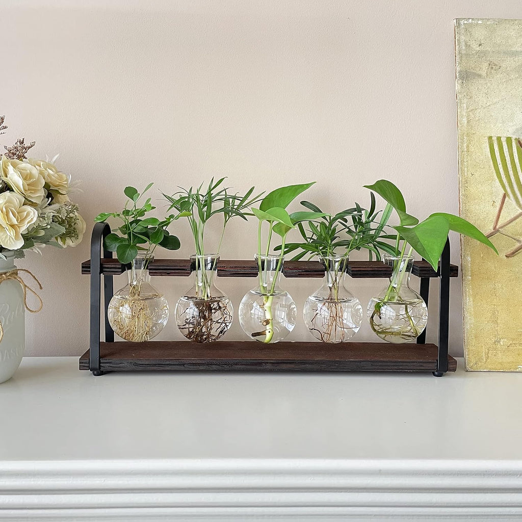 THYGIFTREE Plant Propagation Stations with Wooden Stand | Desktop Retro Plant Terrarium, Bulb Vase for Indoor