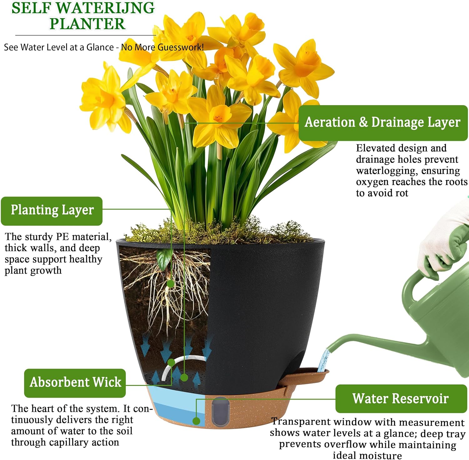 Self Watering Pots for Inoor Ourdoor Plants 8/7/6.5/6/5" Plastic Planters | Drainage Holes & Water Level Indicator