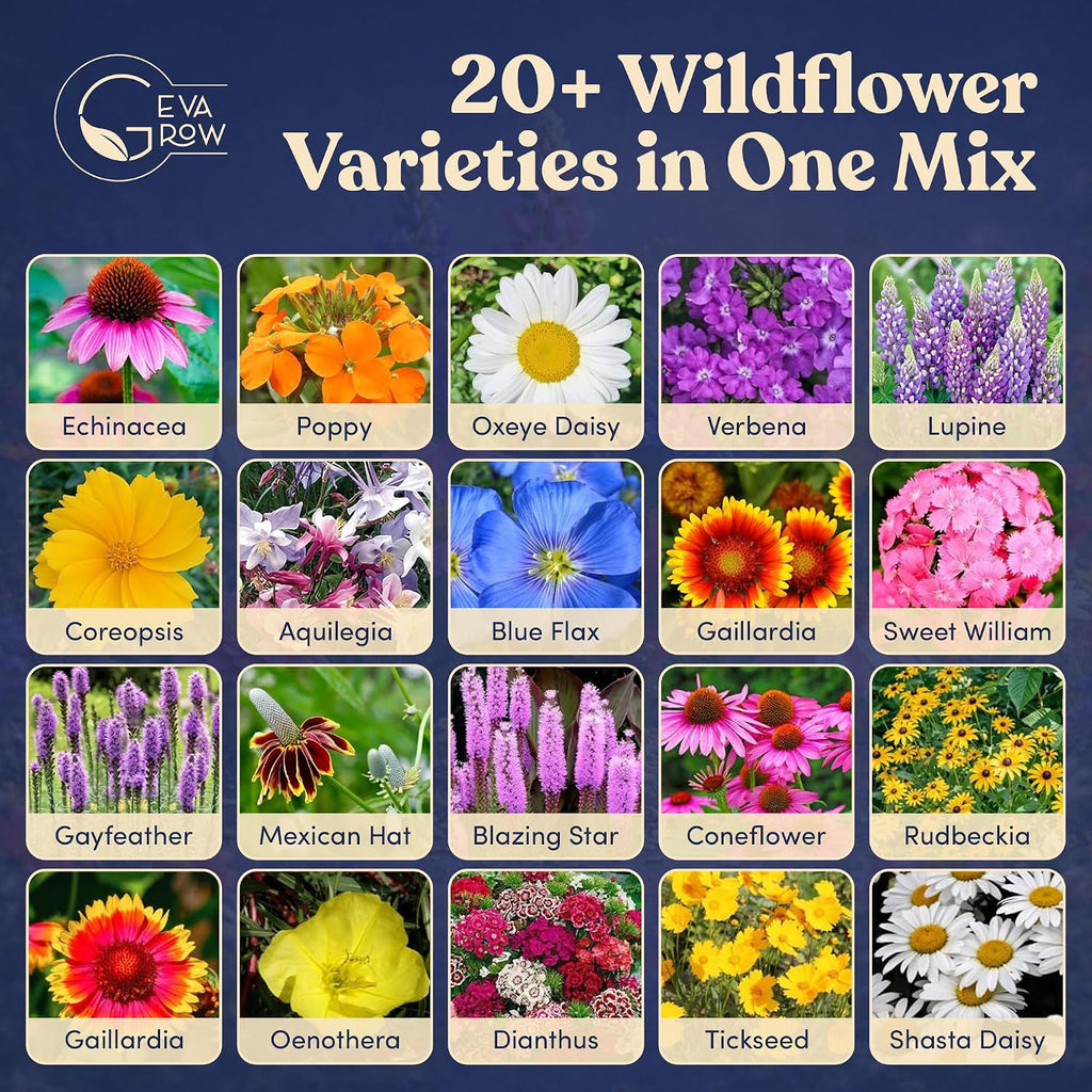 Bulk Wildflower Seed Shaker – Perennial Flower Seeds Mix to Plant Anywhere, by Geva Grow | 20 - Different Type