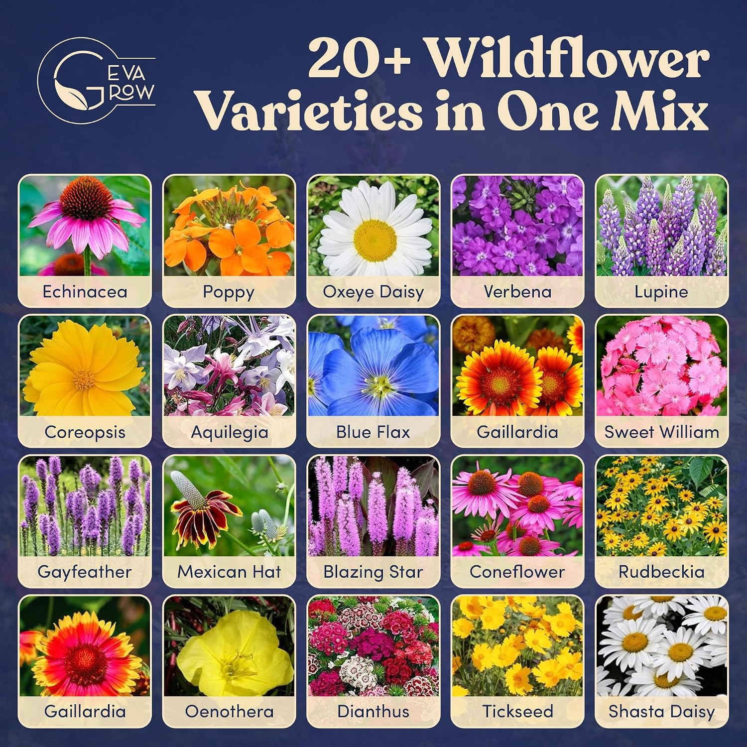 Bulk Wildflower Seed Shaker – Perennial Flower Seeds Mix to Plant Anywhere, by Geva Grow | 20 - Different Type