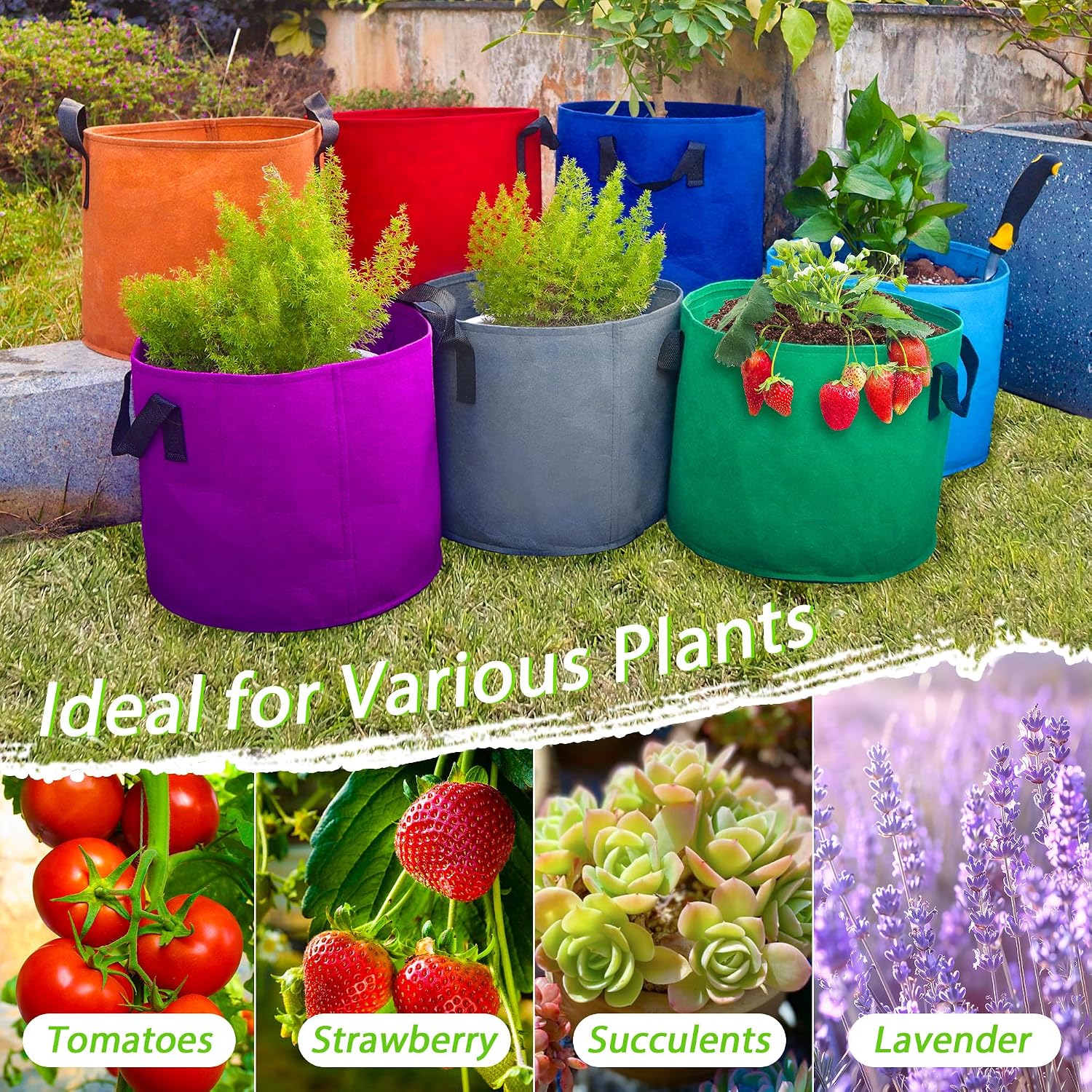 7 Pack 7 Gallon Plant Grow Bags - Mixed 7 Colors with Reinforced Handles & Aeration Design, Ideal for Tomato, Flowers &