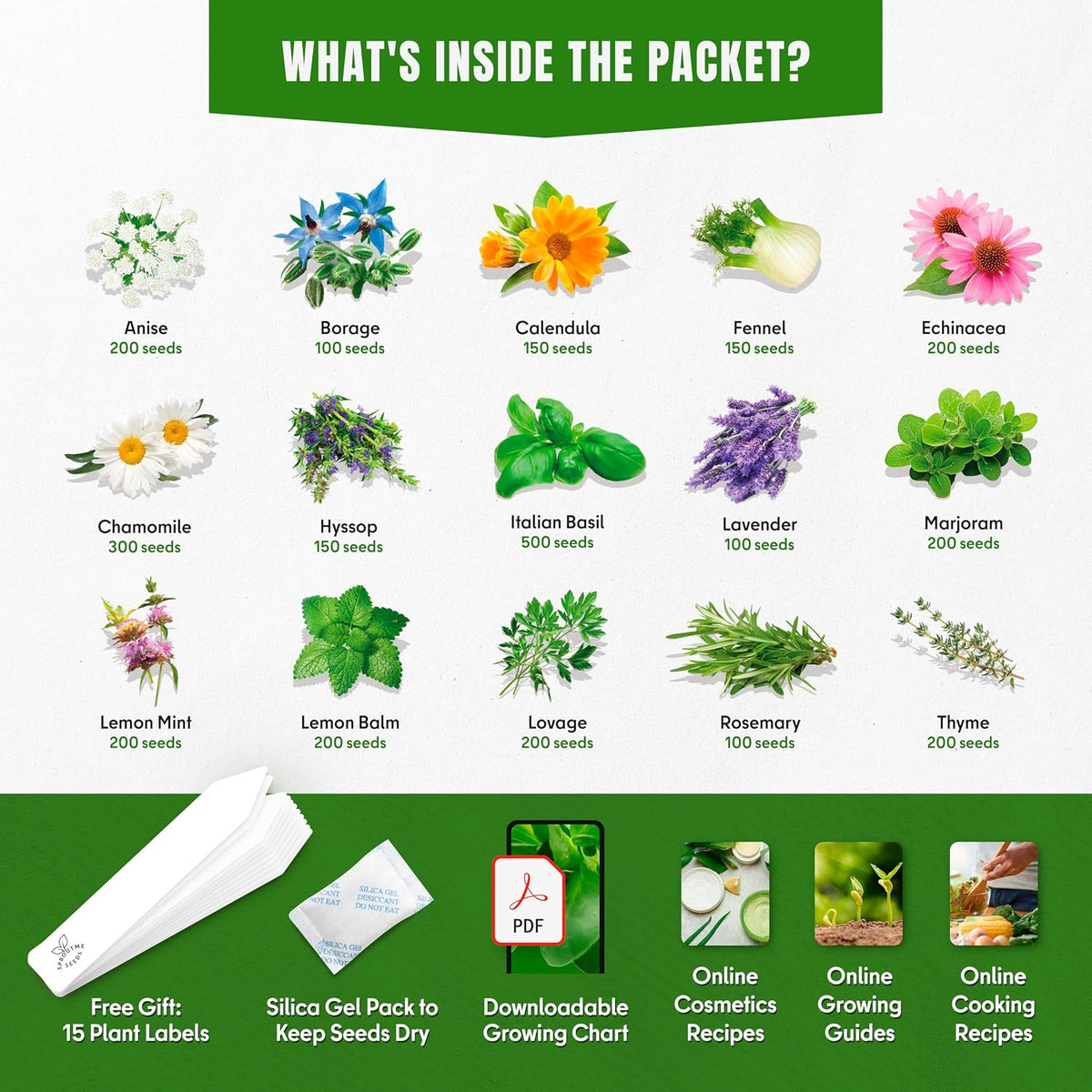 20 Vegetable + 15 Lettuce & Salad Greens + 15 Medicinal Herb Seeds Variety Pack Bundle 14150+ Non-GMO Heirloom Garden
