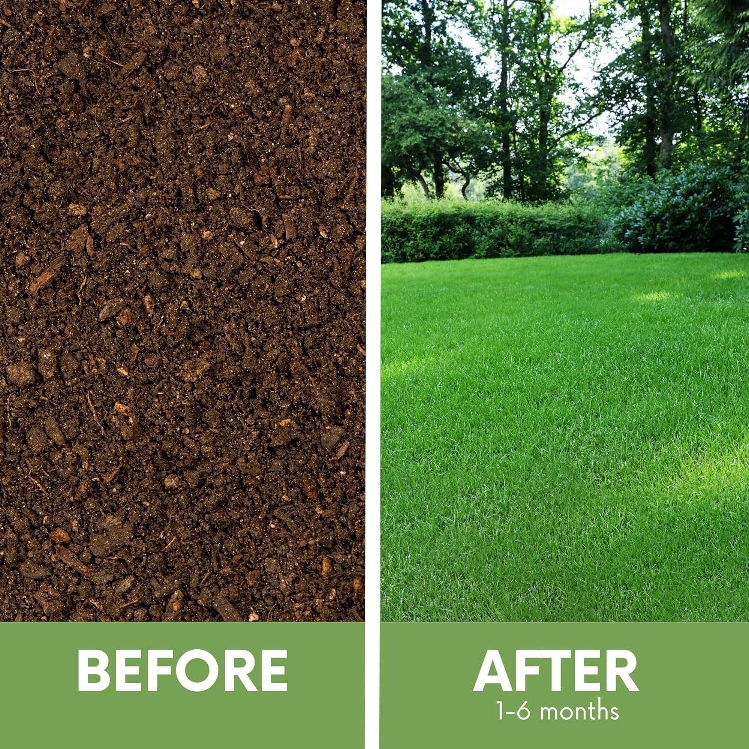 Ruff and Tuff Mow Less Fescue Grass Seed, 1 Lb, Low Maintenance, Family Friendly, Drought Tolerant, Covers up to 500 sq