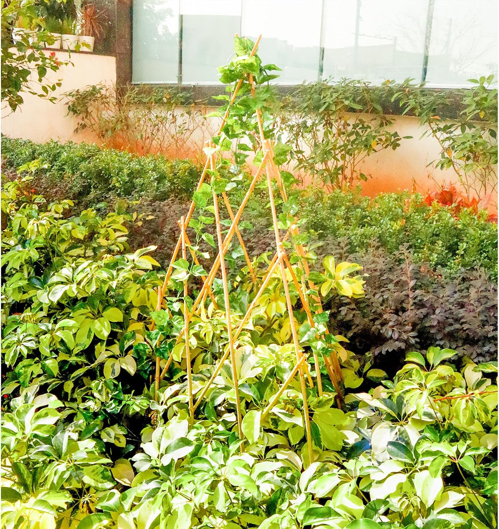 4ft Expandable Bamboo Teepee Trellis for Climbing Plants, Self-Standing Natural Bamboo Trellis for Plant Support