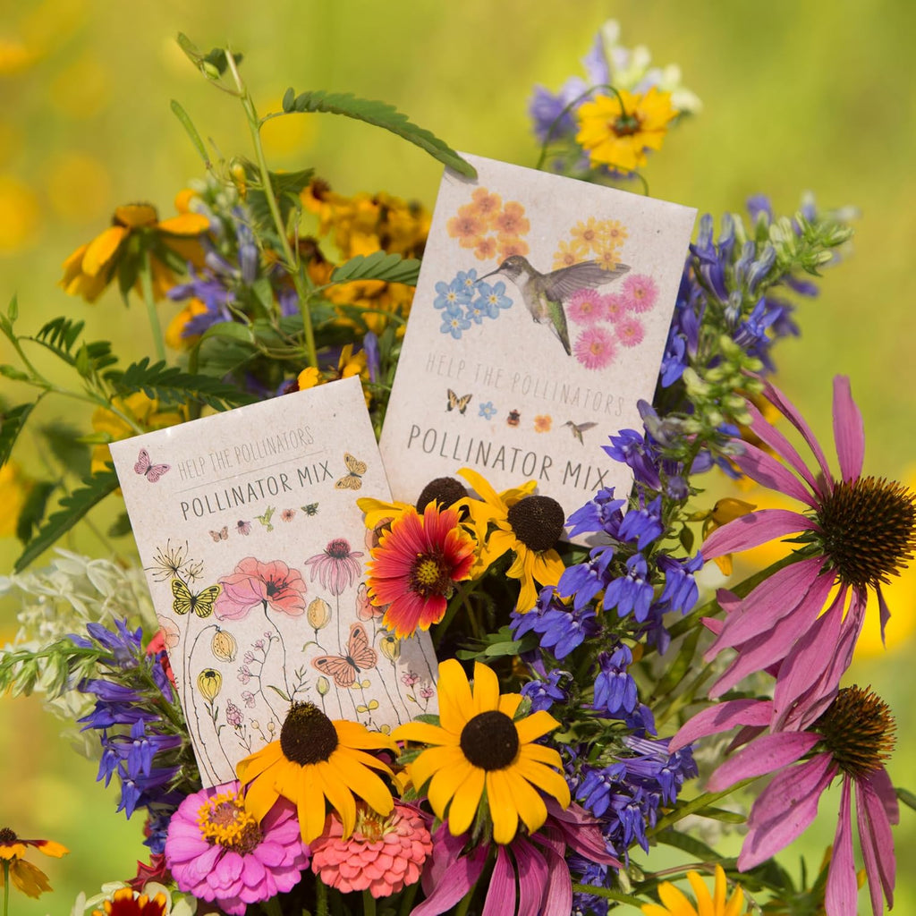 Bentley Wildflower Mix, Pre Filled Hummingbird Packets, 25 Annual Flower Packs, Perfect Eco-Friendly Gift for DIY