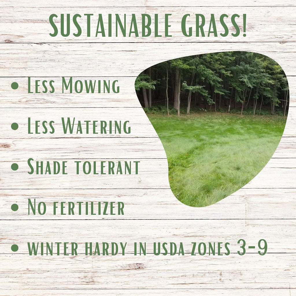 Simple Lawn Mow Less Fine Fescue Eco-Grass Seed, 4 Lbs, Low Maintenance, Resealable Pail with Handle, Covers up to 2000