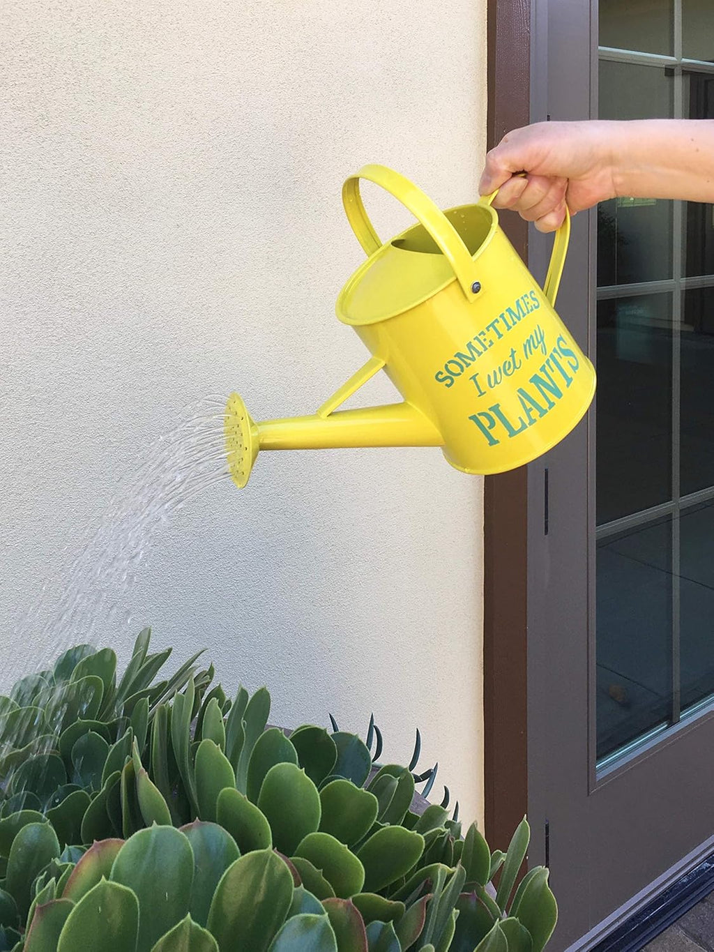 Small Indoor Watering Can - Gardening Gifts for Women -Sometimes I Wet My Plants- 1.6 L - Cute Watering Can for