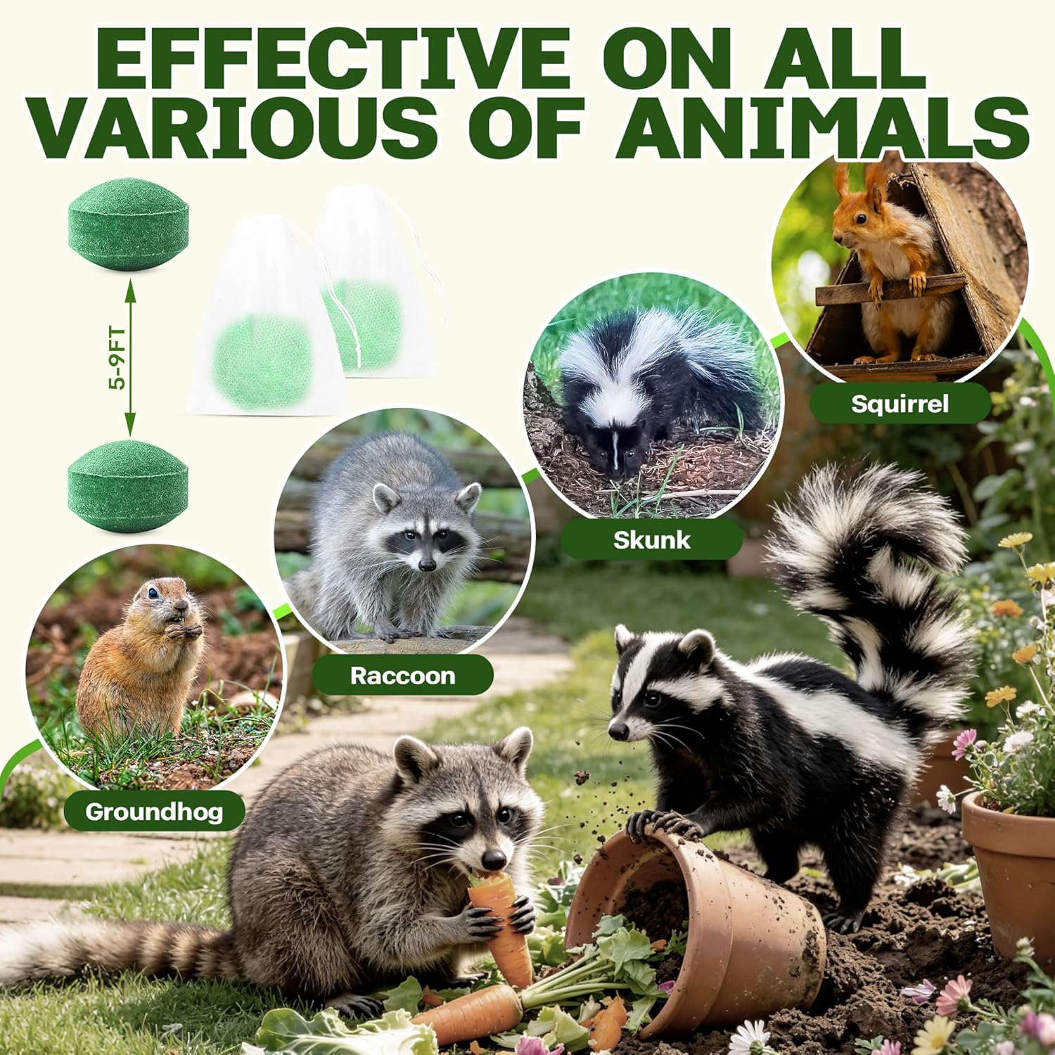 24 Pack Peppermint Oil Raccoon Repellent Outdoor, Natural Skunk Repellent | for Yard Attic Garden House Shed Indoor