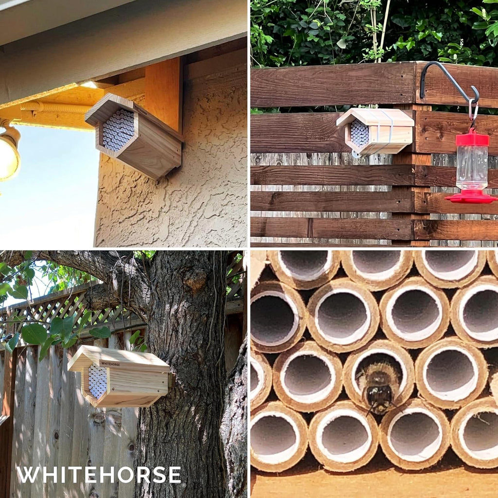 WHITEHORSE Premium Cedar Bee House - 6” Long Replaceable Tubes - Perfect for Mason Beekeeping - an Insect Hotel Built