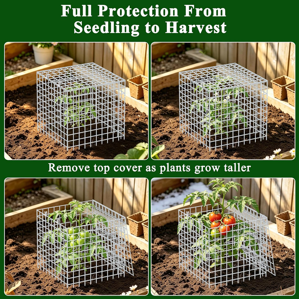 4Set 12"x12" Plant Protectors from Animals, All-Metal Plant Cage with Cover | Hot-Dip Galvanized Metal Wire, Heavy-duty