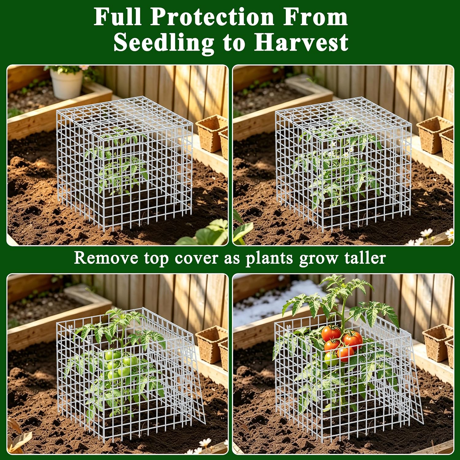 4Set 12"x12" Plant Protectors from Animals, All-Metal Plant Cage with Cover | Hot-Dip Galvanized Metal Wire, Heavy-duty
