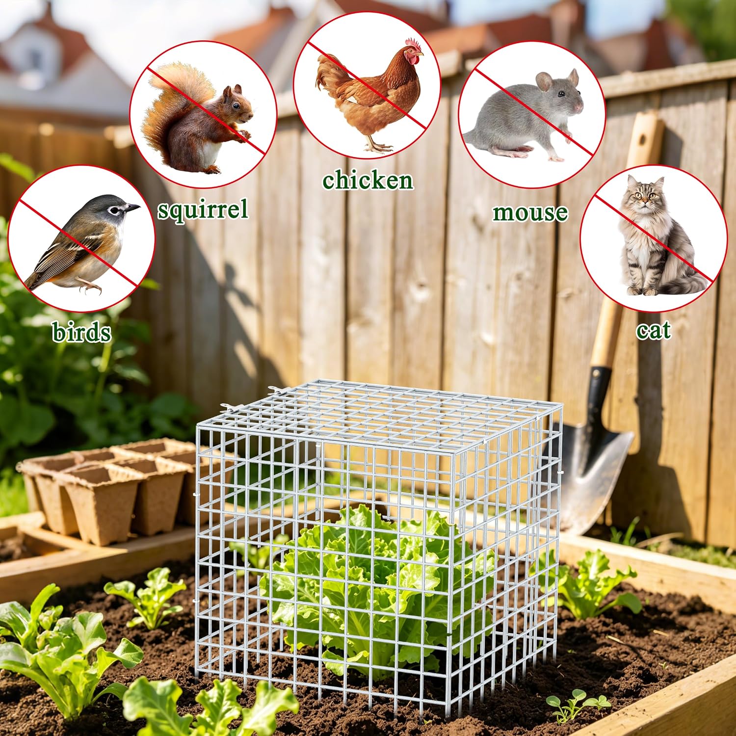 4Set 12"x12" Plant Protectors from Animals, All-Metal Plant Cage with Cover | Hot-Dip Galvanized Metal Wire, Heavy-duty