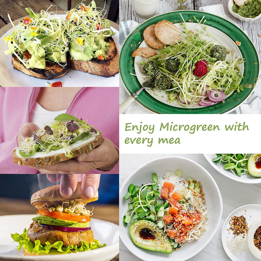 Microgreen Growing Trays, 5" x 5" Sprouting Tray with Humidity Dome, 1.2 mm Small Mesh Holes, BPA Free, Sprouter Kit