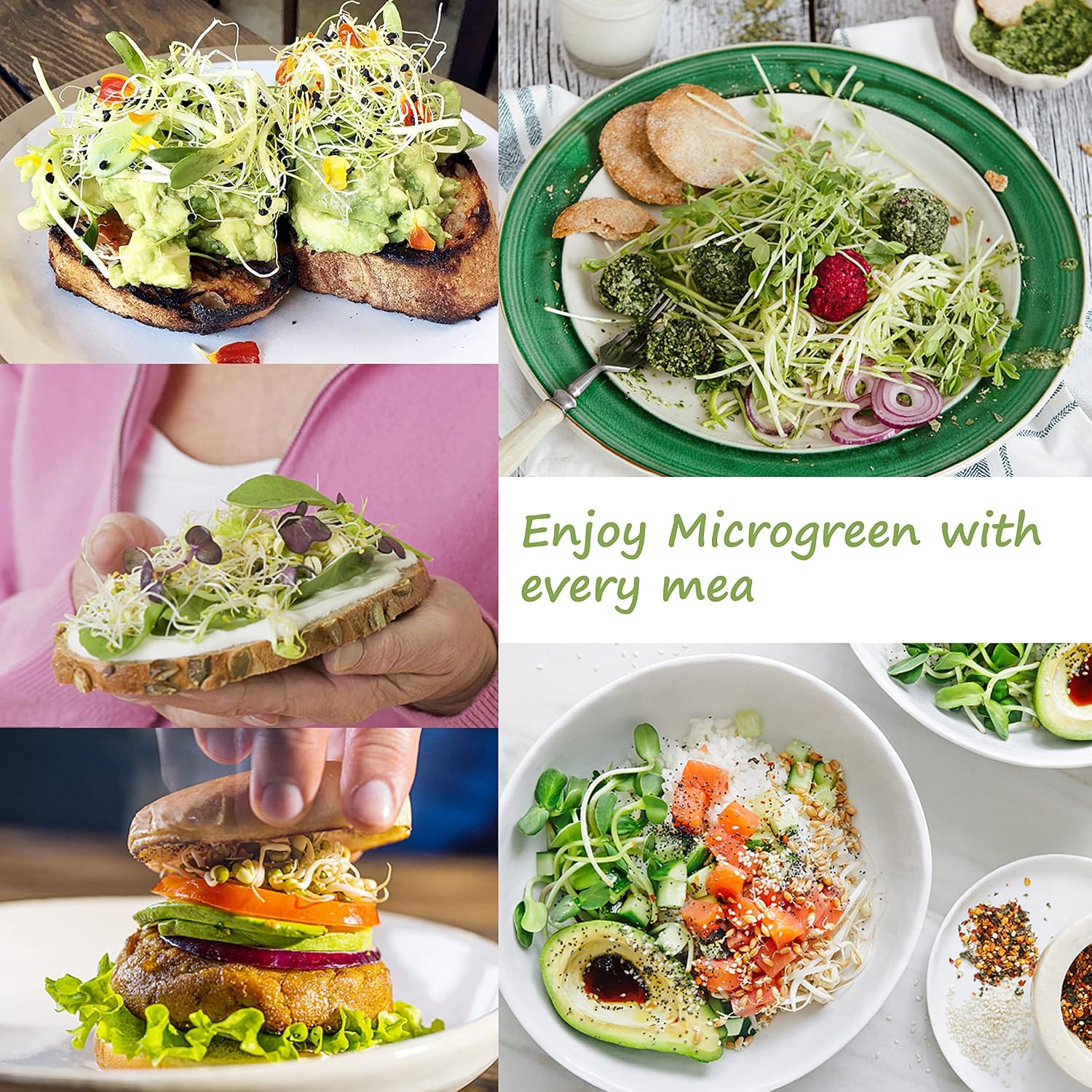 Microgreen Growing Trays, 5" x 5" Sprouting Tray with Humidity Dome, 1.2 mm Small Mesh Holes, BPA Free, Sprouter Kit