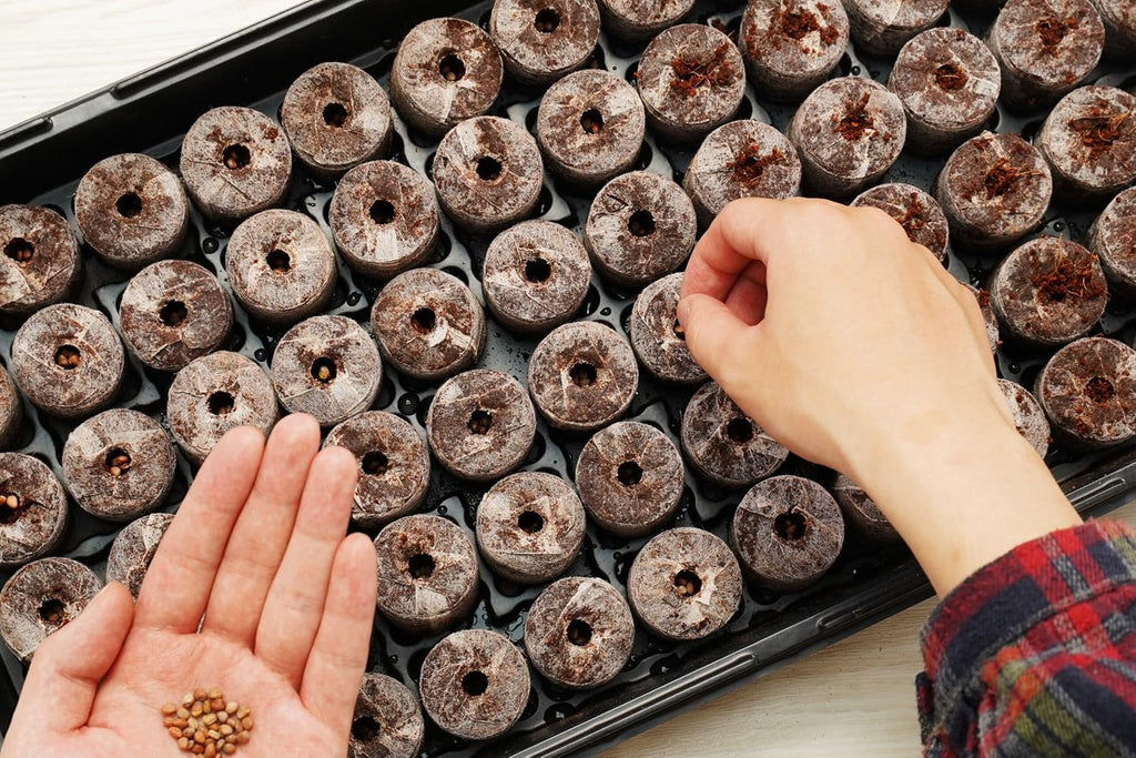 PlantBest 72 Coconut Coir Pellet Seed Starting Greenhouse Kit – 35mm Peat-Free Pellets, All-in-One Seed Starter Tray