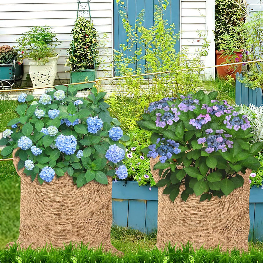 6 Pack Burlap Bags- 19.68" × 29.52" Potato Storage Sacks Natural Jute with Rope, Reusable Potato Onion Bags Strong for