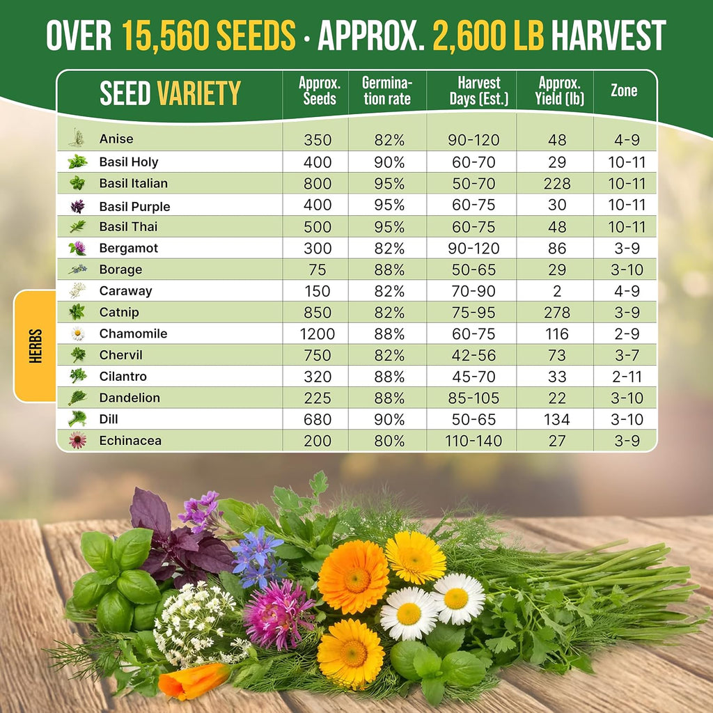 30 Medicinal & Tea Herb Seeds Variety Pack 15,560+ Non-GMO Heirloom Garden Seeds for Indoor & Outdoors, Including