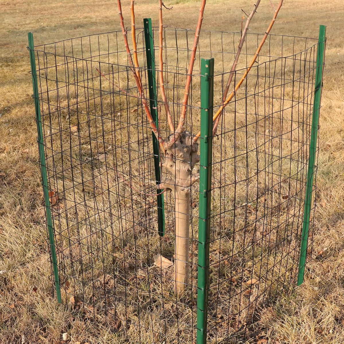 Black PVC Coated Welded Wire Fence 24" x 50' Roll, 2"x3" Mesh, 16 Gauge | Vinyl Coated Garden Fencing, Yard & Pet